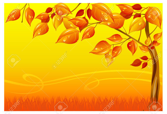 -Paysage-d-automne-avec-l-arbre-et-l-herbe-aux-couleurs-jaune-jpg
