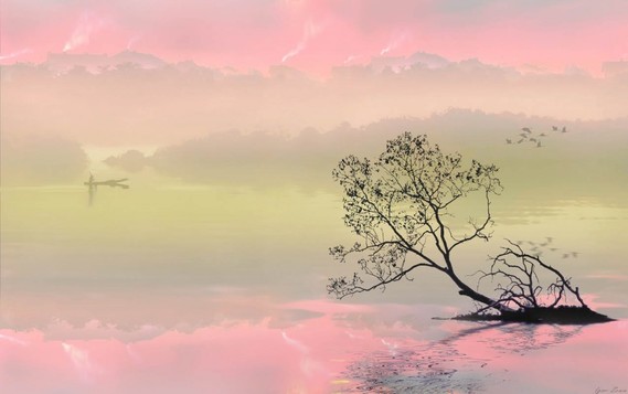 Paysage Zen Nature Jeweid Photos Club Doctissimo Paysage Zen Nature Jeweid Photos Club Doctissimo