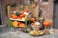 _les-fruits-et-legumes-d-automne