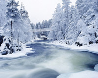 kuusamo-oulangan-winter-landscape-wallpaper-bridge-nature-riverbreathtaking-landscape-