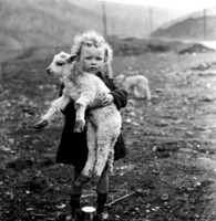 Enfant - Fille et le mouton
