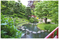jardin-chinois-