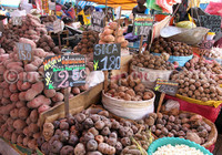 pommes-de-terre-Pérou
