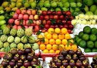 Tropical fruit vietnam