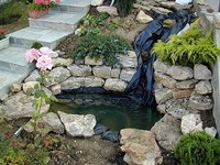 bassin-jardin-avec-cascade-