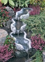 cascade-de-bassin-plantes-