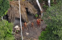 tribu amazonniene