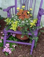 -decoration-chairs-with-flower-pots-purple