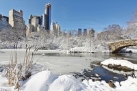 new-york-sous-la-neige (1)