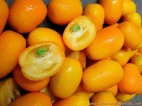 kumquat-fruit-exotique-orange