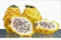 pitaya-fruit-