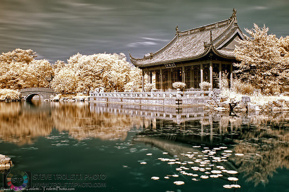 Chinese Garden -