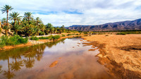 oasis du maroc