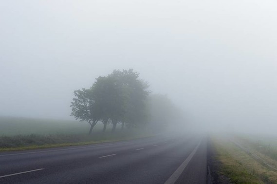 brouillard (1)