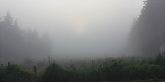 brouillard (2)