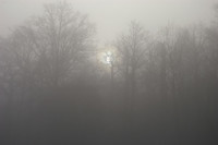 jour-de-brouillard-