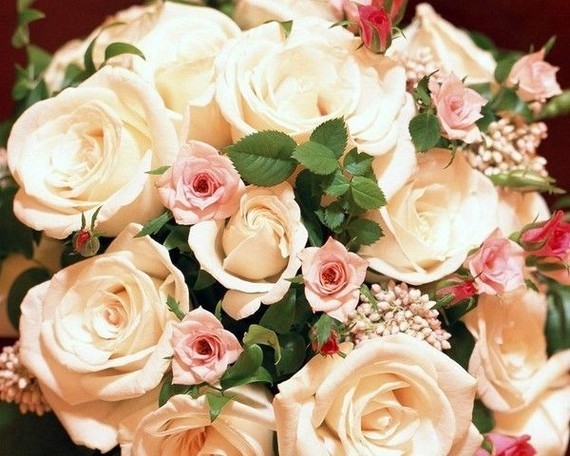 -flower-white-roses
