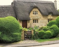 thatched roof beauty