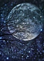-good-night-moon-