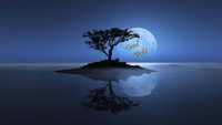 Moon-night-