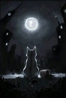 luna-moon-kitty-cats