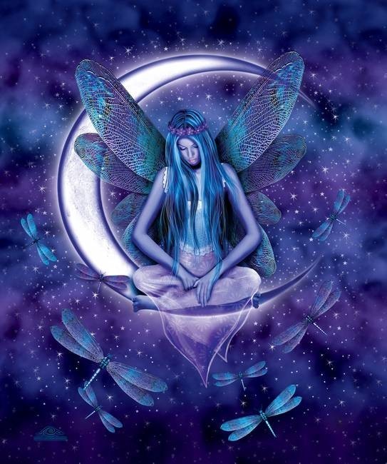 Dragonfly-Moon-Fairy_art