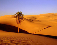 morocco_desert_2