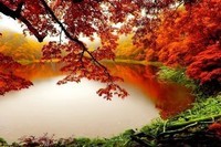 autumn-lake-nature-