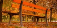 automne-chalons-