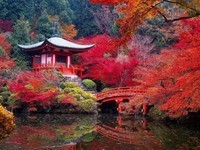 Autumn-Kyoto-Japan-
