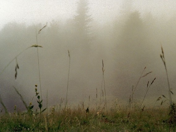 brouillard (1)