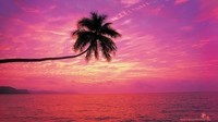 sunsets-ocean-