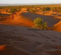 _desert_marocain