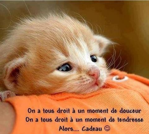 Affection Tendresse Le Chemin De La Tendresse Jeweid Photos Club Doctissimo