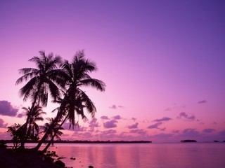 pink_sunset_beaches_