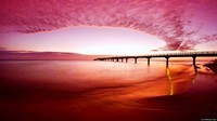 pink-set-beach