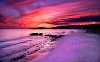 purple-sunset-✿