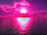 purple_✿
