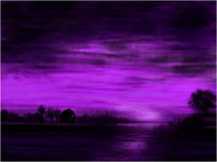 purple-sky (1)
