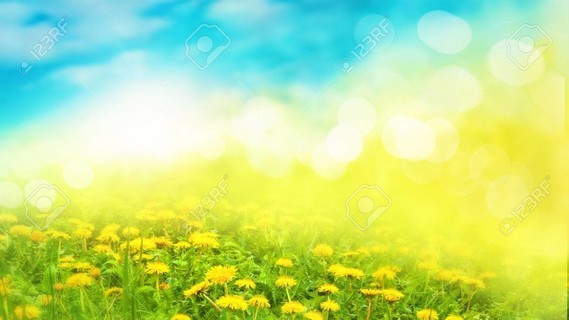 nature--jaune-