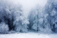 arbre-foret-neige