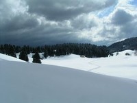 paysage-neige-