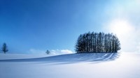 paysage-sous-la-neige-