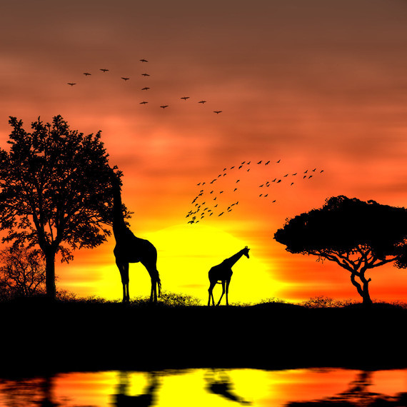 coucher-de-soleil-africain