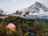 national-geographic-4