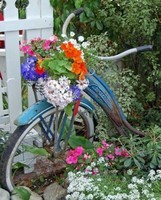 jardin-vélo-