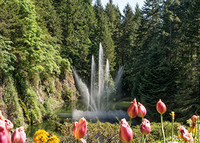 Canada_Gardens_Fountains_Tulips_