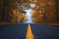 Roads_Autumn_