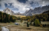 Roads_Forests_Italy_Scenery_Val_