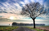 Roads_Sky_Trees_